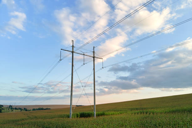 istock Tower with electric power lines for transfering high voltage electricity located in agricultural cornfield. Delivery of electrical energy concept. 1347932342