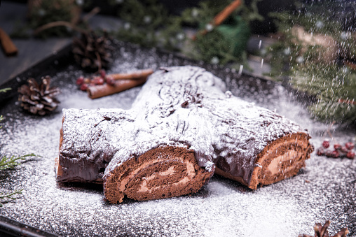 Traditional French Christmas dessert with Mocha cream. Fir-tree branches, cones and berries, powdered sugar