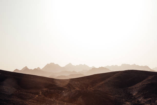 Desert landscape. Stony hills in the foreground with the silhouette of rocky mountains. Sun glare from sunset light. Space, fantastic atmosphere in the sahara desert