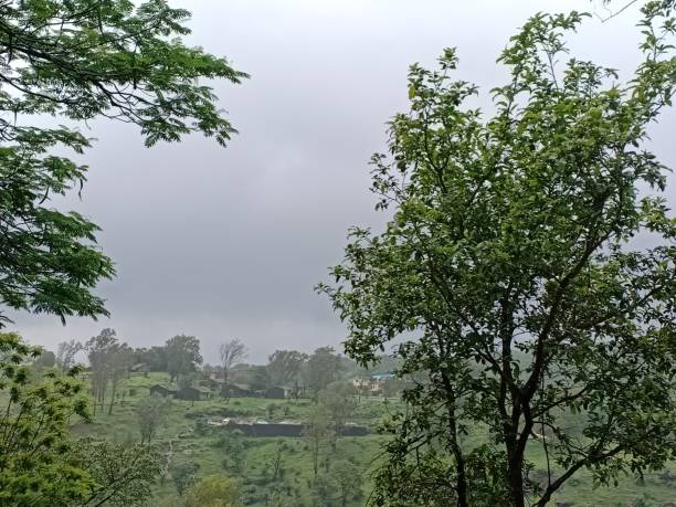 istock Rural area on a foggy day 1347936929