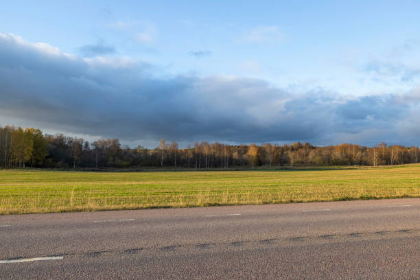 istock Beautiful autumn nature landscape view. Highway between green fields on blue sky background. Sweden. 1347936986