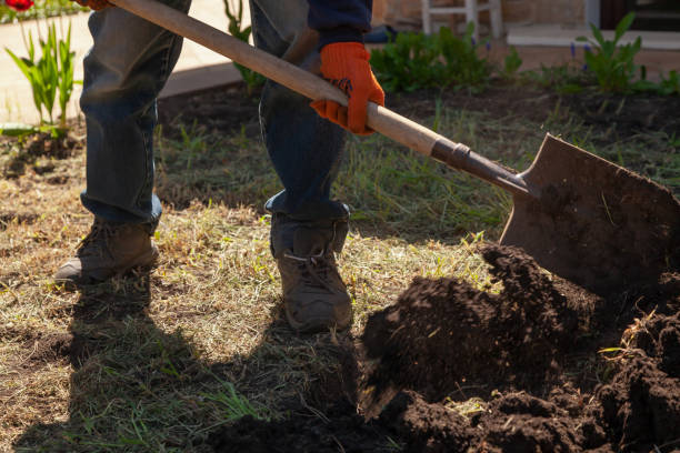 istock Man digs plot of land on spring day 1347937264