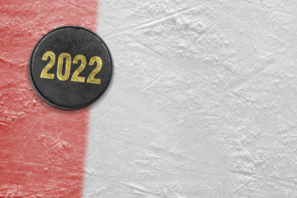 istock Ice hockey puck with red line 1347939280