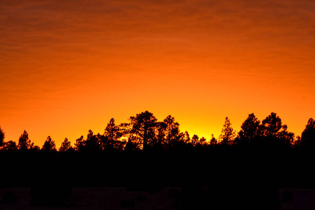 istock Crazy orange skyline at sunset 1347946130