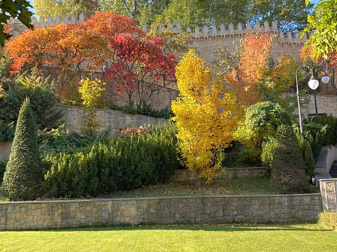 Autumn park with yellow red orange colorful foliage on the trees. Autumn idyllic nature scene. Sunny autumn day. Green grass lawn.