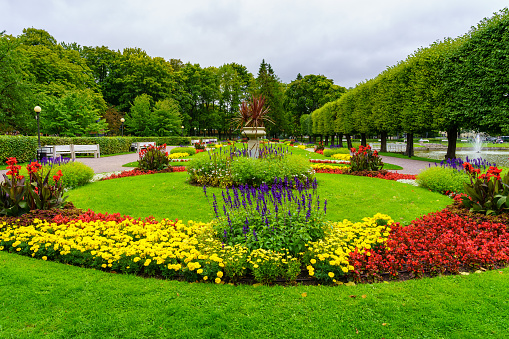 Park with a multitude of colorful flowers and a small fountain in the middle of the meadow.