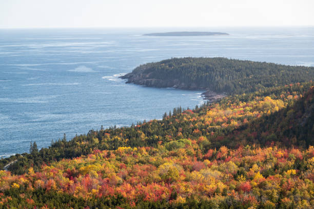 istock Fall Colors on the Beehive Trail in Acadia National Park 1347951527