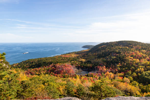 istock Fall Colors on the Beehive Trail in Acadia National Park 1347951551