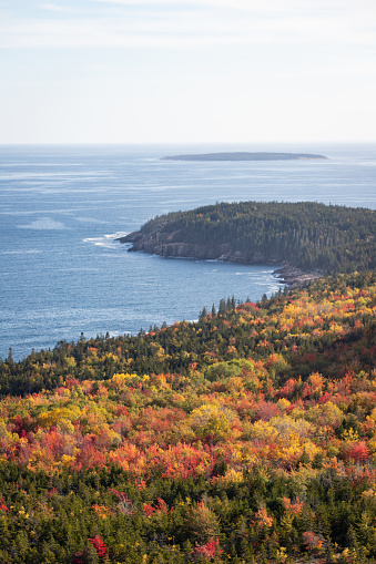 Fall foliage and beautiful water on the Beehive Trail in Acadia National Park in Maine.