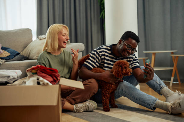 istock Dog interferes owners who packing donation box 1347955247