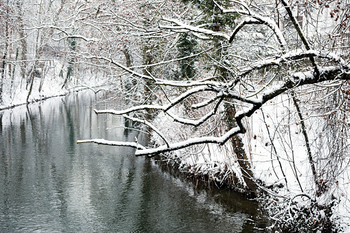 Spring thaw on a small river with dry grass on the shores and trees