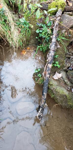 istock Flowing Creek West Virginia 1347968563