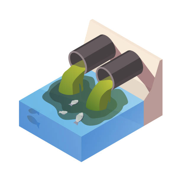 Dirty Water drain from the pipe polution the river, ocean. Water pollution concept. The danger for the environment. Flat 3d isometric illustration. Dirty Water drain from the pipe polution the river, ocean. Water pollution concept. The danger for the environment. Flat 3d isometric illustration water pollution stock illustrations