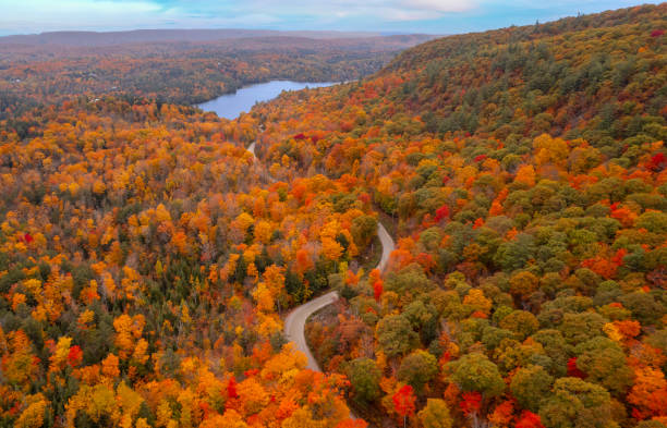 istock Aerial shot of fall colours 1347975472