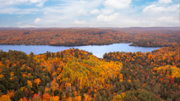 istock Aerial shot of fall colours 1347975478