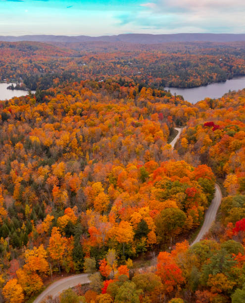 istock Aerial shot of fall colours 1347975492