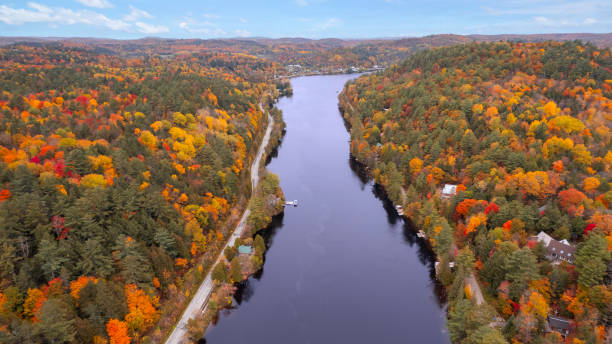 istock Aerial shot of fall colours 1347975504