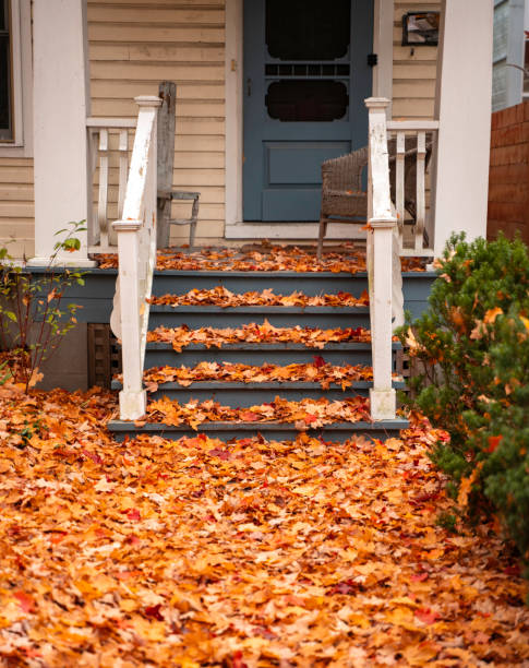 istock Fall colours in the city 1347975612