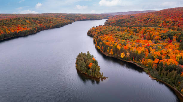 istock Aerial shot of fall colours 1347975662