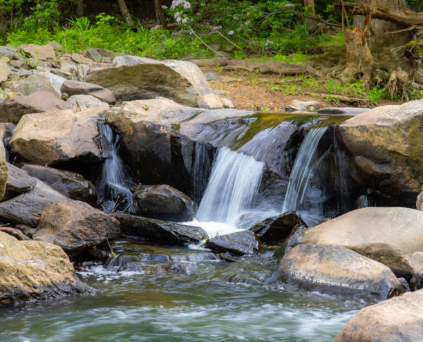 mały wodospad w parku latem - minature waterfall zdjęcia i obrazy z banku zdjęć