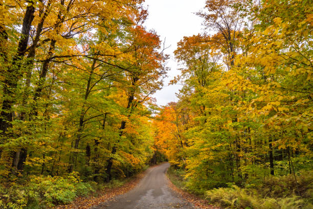 istock Fall colors at Pathfinder Island and Source Lake, Algonquin Provincial Park, Canada 1347986187