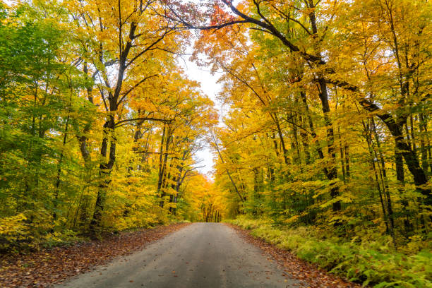 Ontario, Canada.