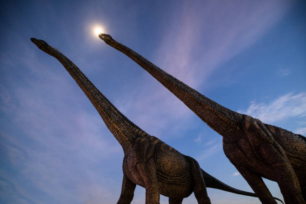 밤 장면은 구름 하늘 배경으로 두 개의 큰 공룡 치장 벽토와 달빛을 촬영 - holbrook 뉴스 사진 이미지