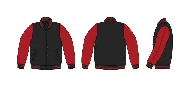 Vector illustration of Varsity jacket ( baseball jacket )  template illustration(front,back and side )