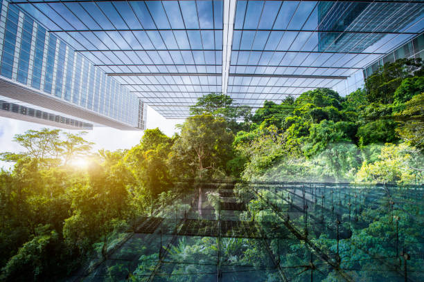 Sustainable energy performance – Green Building stock photo