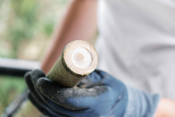 Gloved hands of an unrecognizable man holding a bamboo stick in foreground with bokeh background.