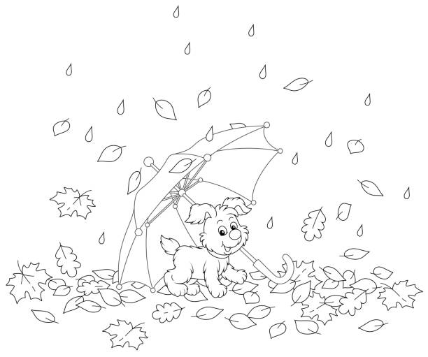 Little pup under a colorful toy umbrella Playful small puppy and a beautiful parasol among fallen leaves in an autumn park on a rainy day, black and white outline vector cartoon illustration for a coloring book page autumn coloring pages stock illustrations