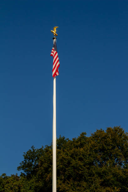 istock Luxembourg American Cemetery 1348010589