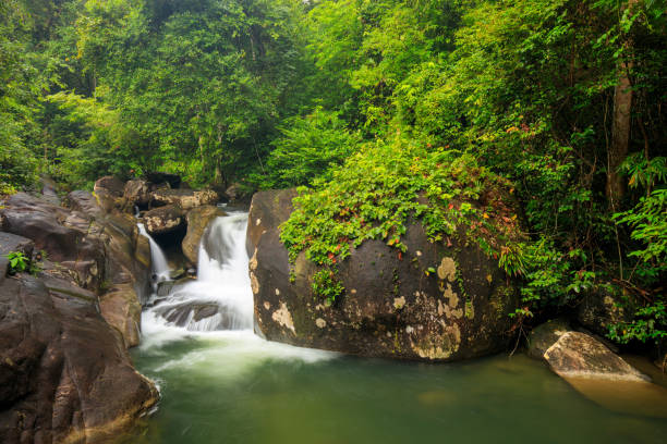 istock Nature background of Thailand 1348011377
