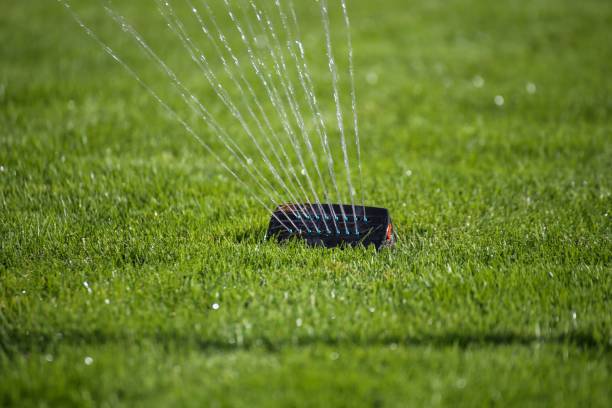 istock Garden irrigation with well-cared lawn 1348014595