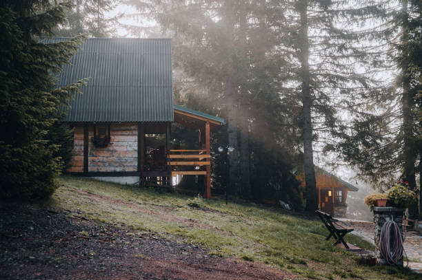 dwa przytulne ekologiczne drewniane domy w lesie - hut cabin isolated wood zdjęcia i obrazy z banku zdjęć