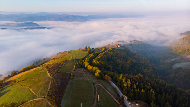 istock Morning fog over mountain valley 1348015564