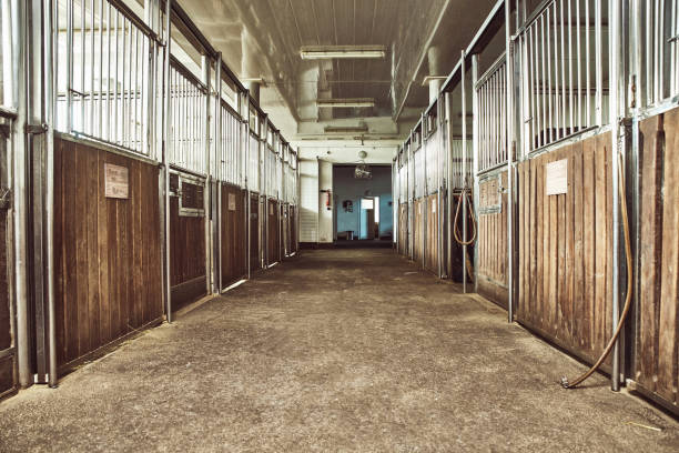 horse paddock rancho ecuestre racing stable - horse stall stable horse barn fotografías e imágenes de stock