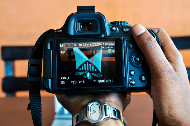 Tissue stand from the view of the digital camera. Frame within a frame of tissue paper. View of DSLR camera viewfinder with a tissue box or stand in the frame.