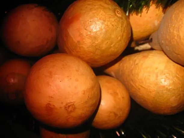 Photo of Calabash/ Gourd/Cucurbit/Ornate water gourd/Pumpkin 1