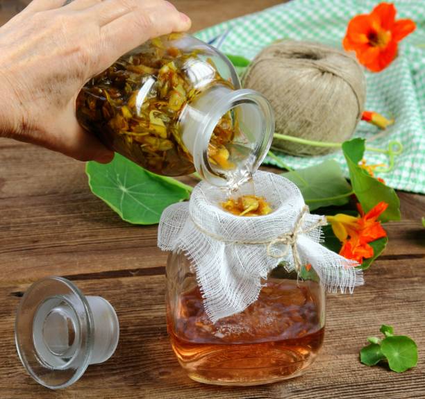 istock Filtering tincture from Tropaeolum majus, also called garden nasturtium or Indian cress. 1348018122