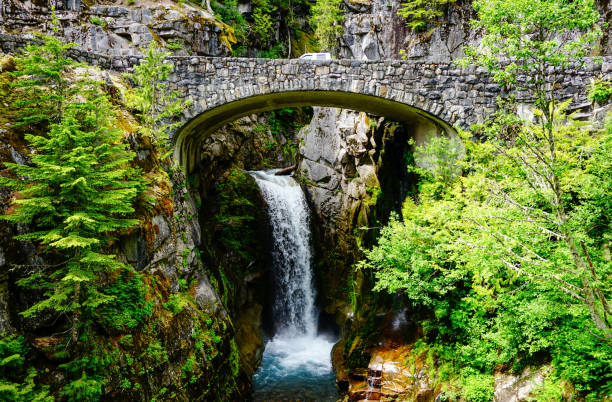 Narada Falls in Mount Ranier National park. A waterfall named after Indian saint Narada.  Mount Ranier is one of the most beautiful national park in Washington State , full of waterfalls, lakes, greenary, hikes and many more. mt rainier national park stock pictures, royalty-free photos & images