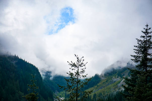 istock Beautiful mount Ranier national park. 1348019971