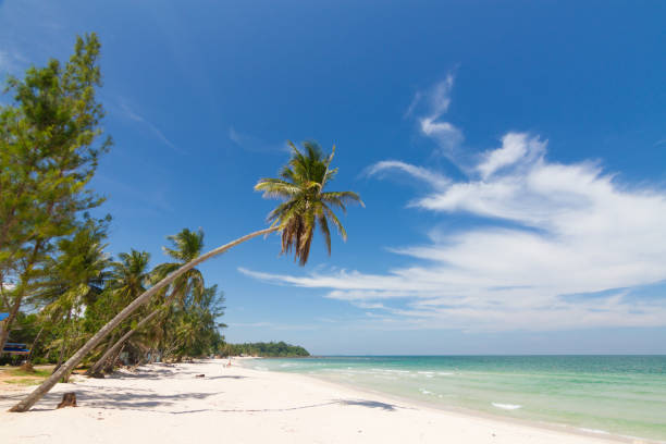 istock Beautiful natural scenery with beach, coconut palms and blue sky 1348022227