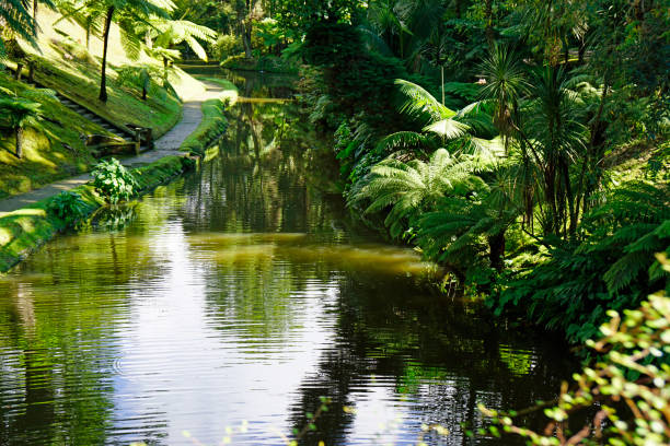 istock landscape on the azores 1348022984