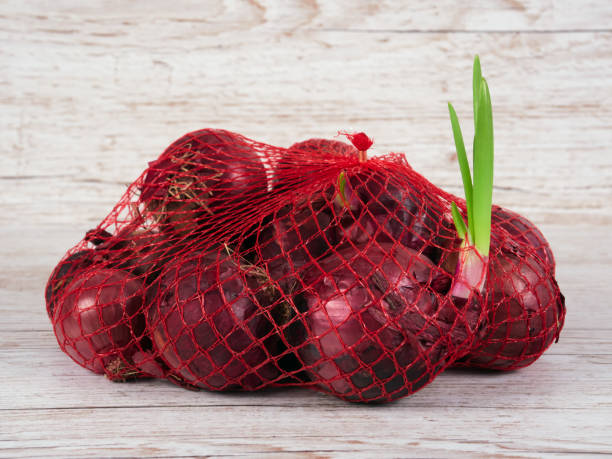 istock A small bag with red onions on a light wooden background 1348025122
