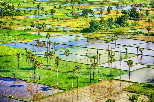 Vista aérea al arrozal en Bukit Persaudaraan Waingapu Sumba Island, East Nusa Tenggara, Indonesia photo