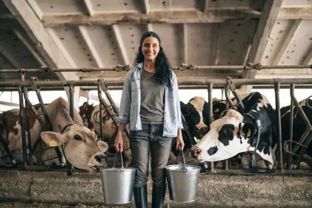 Portrait of confident successful female farm worker holding buckets and posing in cowshed