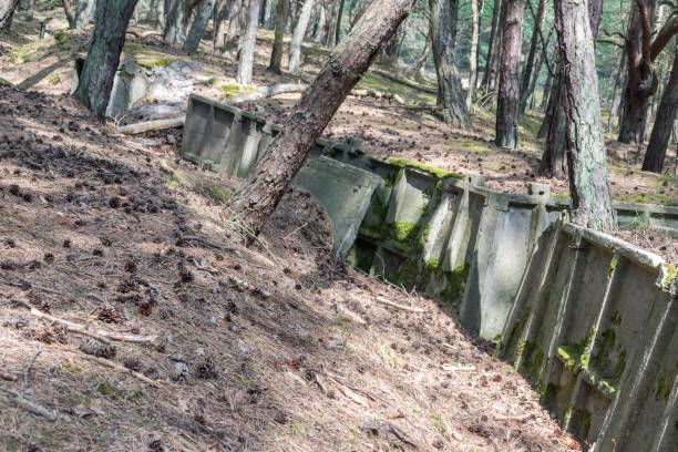 istock Trenches of Hel fortification in the forest. 1348027977