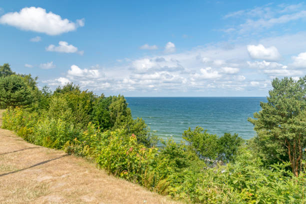 istock Baltic sea view at sunny day. View from cliff. 1348027993