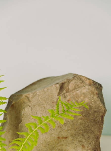 istock Podium made of natural materials for demonstration 1348029612